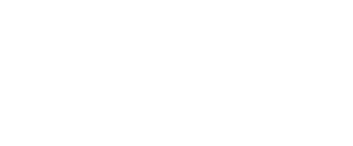 Stepway
